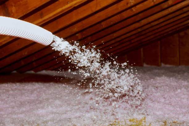 Best Geographic-Specific Insulation Services in West Jordan, UT