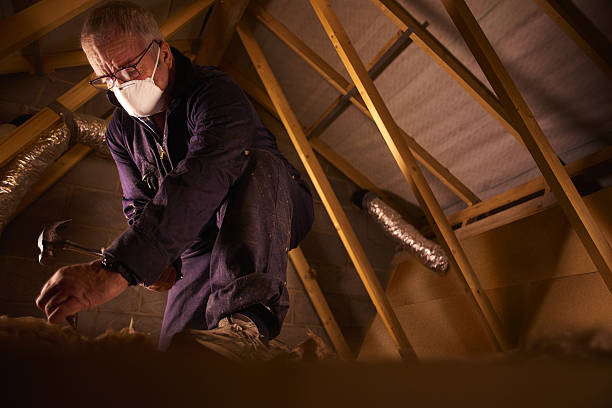 Best Cellulose Insulation in West Jordan, UT